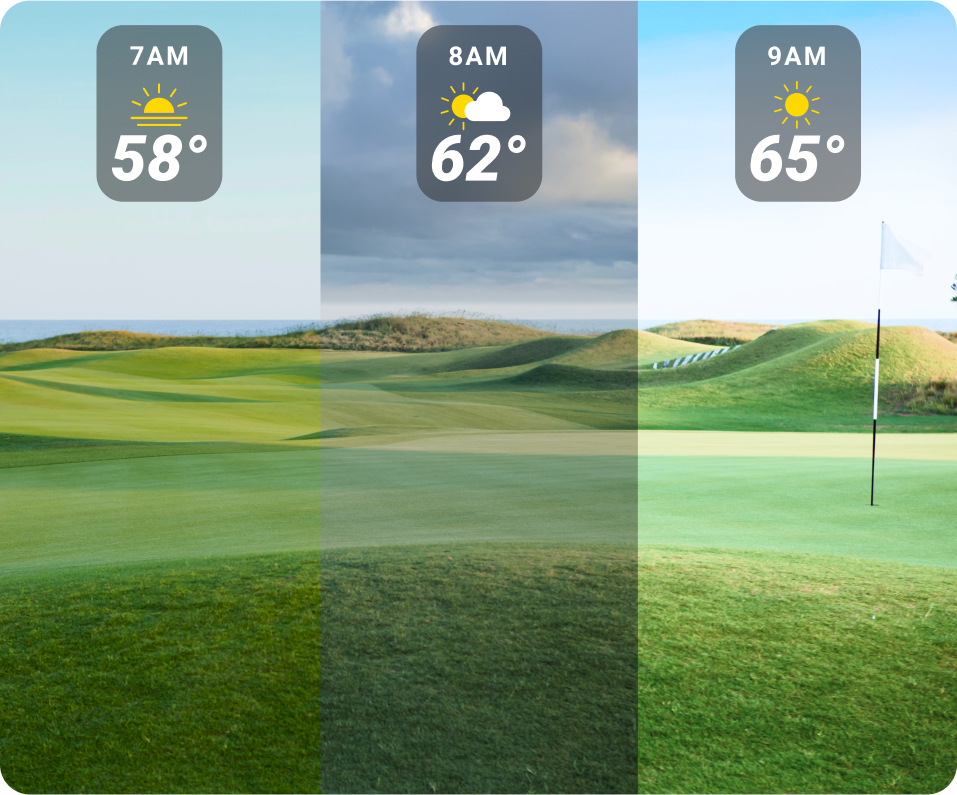 Real-Time Weather